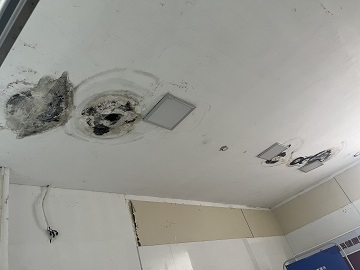 鹭燕软二店